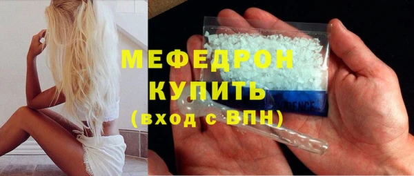 индика Надым