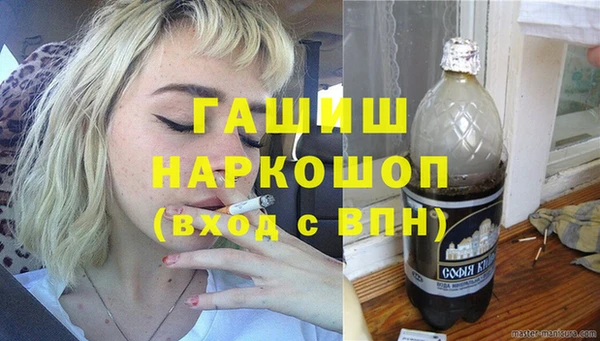 индика Надым