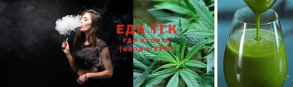 индика Надым