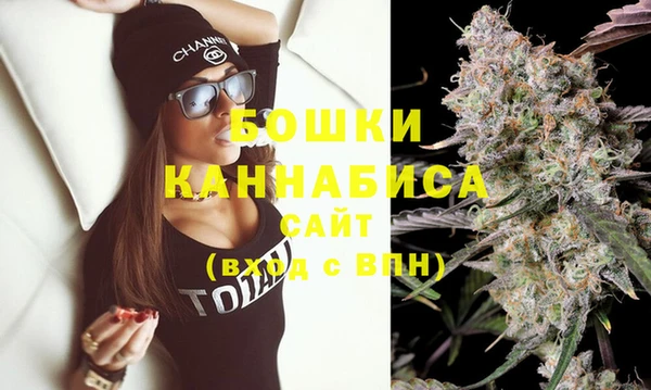 крисы Нея