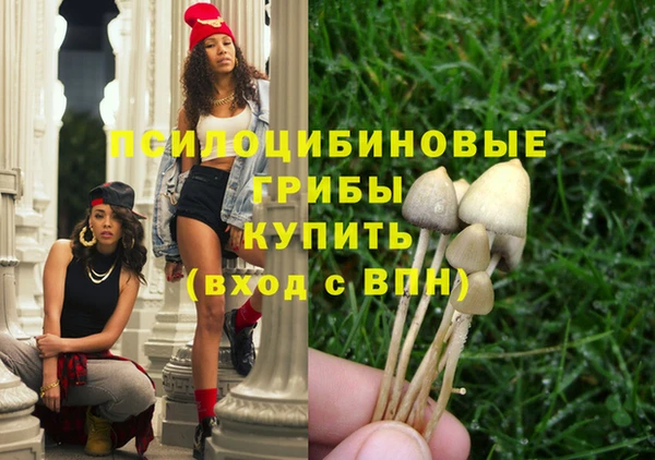 ALPHA PVP Нефтекумск
