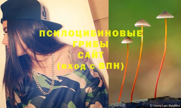 мдпв Навашино