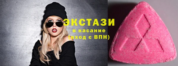 индика Надым
