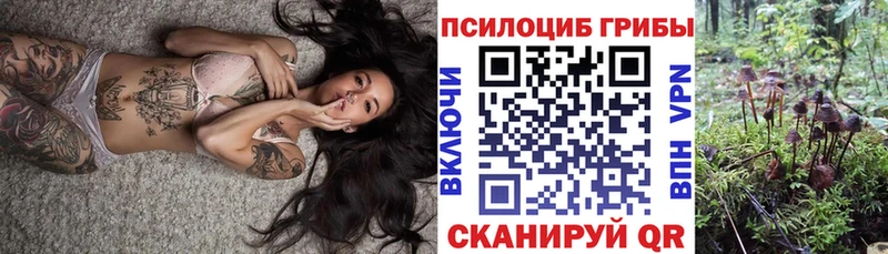 OMG ТОР  Любань  Псилоцибиновые грибы Psilocybe  где продают наркотики 